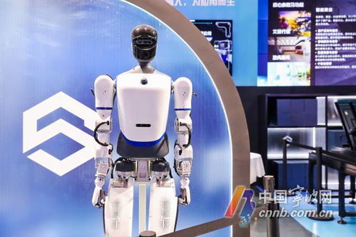 機(jī)器人生活秀 數(shù)量超60款，數(shù)貿(mào)會(huì)展現(xiàn)科技專業(yè)新圖景